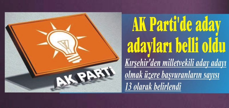 AK Parti'de aday adayları belli oldu