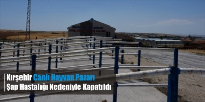 Kırşehir Canlı Hayvan Pazarı Şap Hastalığı Nedeniyle Kapatıldı