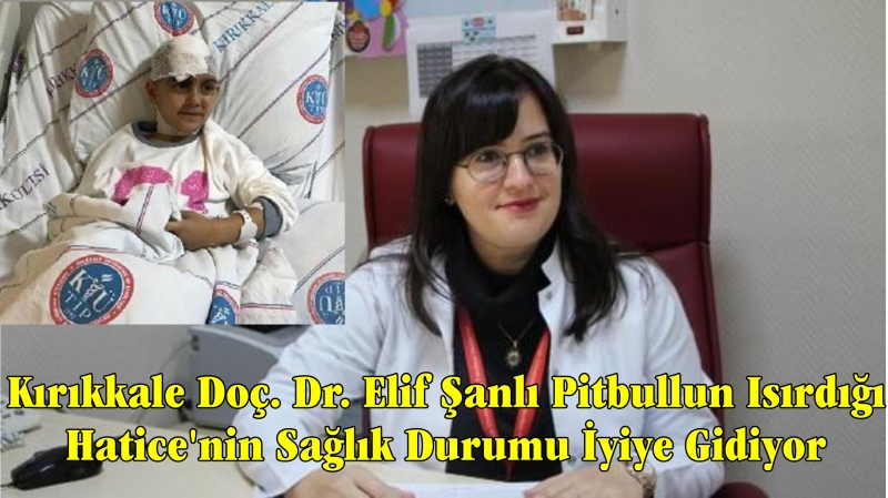 Kırıkkale Doç. Dr. Elif Şanlı Pitbullun Isırdığı Hatice'nin Sağlık Durumu İyiye Gidiyor